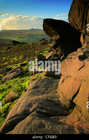 Die Kakerlaken, einen felsigen Grat Gritstone-Hügel im Stadtteil Staffordshire Moorlandschaften am Westrand des Peak District. Stockfoto