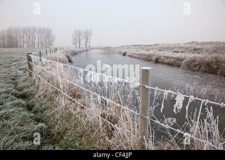 Eine gefrorene Drahtzaun am Fluss an einem frostigen Morgen in Norfolk. Stockfoto