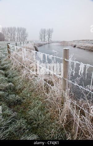 Eine gefrorene Drahtzaun am Fluss an einem frostigen Morgen in Norfolk. Stockfoto