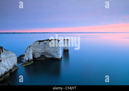 Old Harry Rocks, Kreide zwei Felsnadeln befindet sich am Handfast Punkt auf der Isle of Purbeck bei Sonnenaufgang. Stockfoto