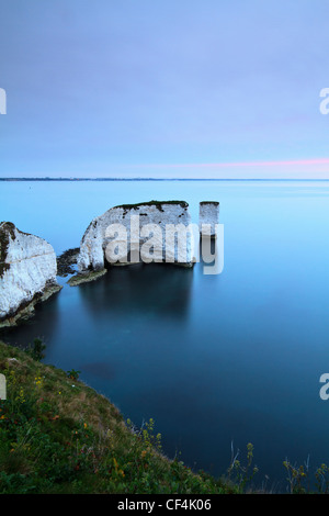 Old Harry Rocks, Kreide zwei Felsnadeln befindet sich am Handfast Punkt auf der Isle of Purbeck bei Sonnenaufgang. Stockfoto