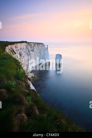 Blick auf Old Harry Rocks von Handfast Punkt, Swanage, im Morgengrauen. Stockfoto