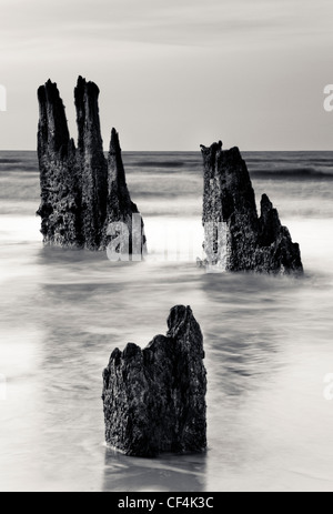 Drei verbleibenden Holz Beiträge aus einer alten Anlegestelle, ragt aus dem Meer bei Walberswick in Suffolk. Stockfoto