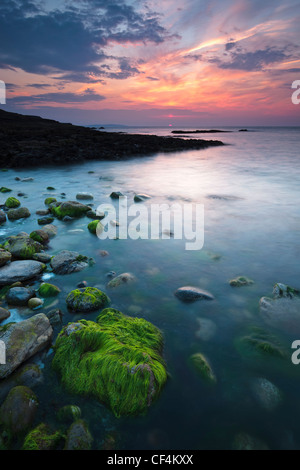 Sonnenuntergang über grüne Algen bedeckt Felsen am Penmon Punkt auf der Isle of Anglesey. Stockfoto