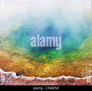 Morning Glory Pool im Yellowstone National Park, USA Stockfoto