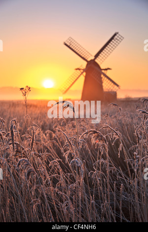 Herringfleet Kittel Mühle im Nebel an einem Wintermorgen. Stockfoto