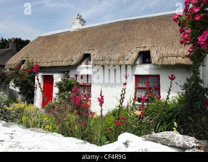 Reetdachhaus am Clogherhead, einem kleinen Fischerdorf von der irischen See auf der Clogherhead Halbinsel, ein National Heritage Area Stockfoto