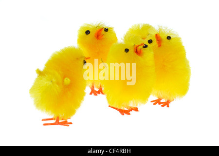 gelbe Chicklings Foto auf dem weißen Hintergrund Stockfoto