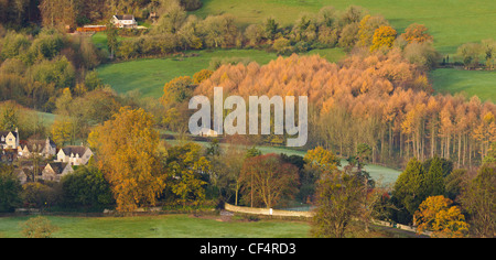 Ansicht von Woodchester gesehen von Rodborough Common in den frühen Morgenstunden im Herbst in der Nähe von Stroud, Gloucestershire Stockfoto