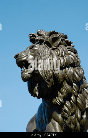 Nahaufnahme von der Maiwand Löwenstatue in Forbury Gärten, errichtet im Jahre 1886 zum Gedenken an die Offiziere und Männer von der königlichen Berkshi Stockfoto