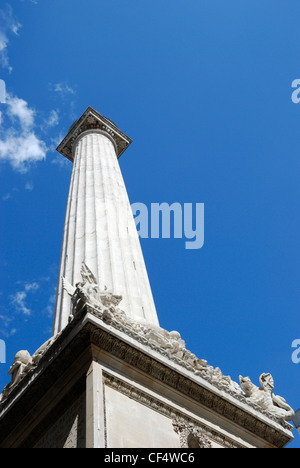 Das Denkmal für den großen Brand von London 1666, entworfen von Sir Christopher Wren und Robert Hooke. Stockfoto