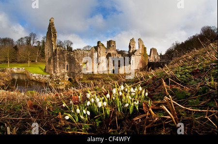 Fountains Abbey, ein Zisterzienser-Klosterruine 1132 gegründet. Es ist ein UNESCO-Weltkulturerbe und Teil des Anwesens F Stockfoto