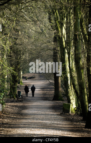 Ein paar zu Fuß entlang eines Pfades durch Highgate Wood im Spätwinter. Stockfoto