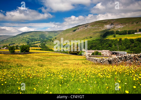 Wildblumenwiese auf der Crowtees Farm in der Nähe von Muker, Swaledale, Yorkshire Dales National Park. Stockfoto