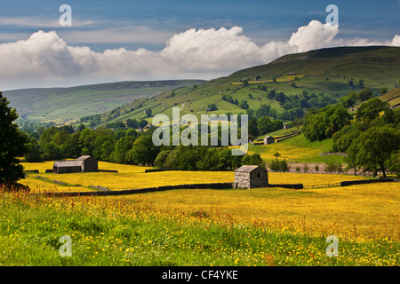 Stein Scheunen in Wildblumenwiesen in der Nähe von Muker, Swaledale, Yorkshire Dales National Park. Stockfoto