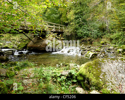 Brücke über einen Fluss mit Sotnes in tiefgrüne Vegetation Wald Stockfoto