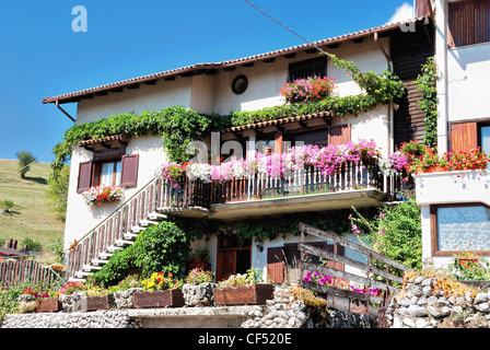 Italia Italien Italie Abruzzen Pescasseroli Corso Plistia Fiori Gerani Blumen Geranien Fleurs Flores Geranios Stockfoto