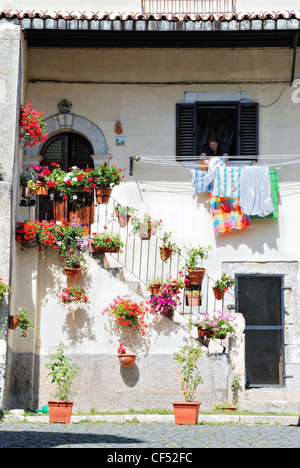 Italia Italien Italie Abruzzen Pescasseroli über Malafede Fiori Gerani Blumen Geranien Fleurs Flores Geranios Stockfoto