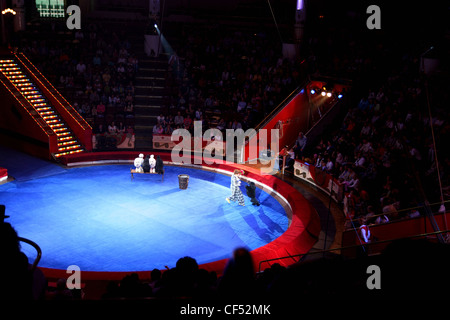 Moskau - 5. Juni - blau-Arena in Moskau Nikulin Zirkusvorstellung mit vier Pudel und Schauspieler, 5. Juni 2010 in Moskau, Russland Stockfoto