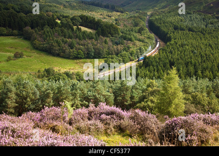 Eine Dampflok auf der North Yorkshire Moors Railway Reisen durch Newtondale. Stockfoto