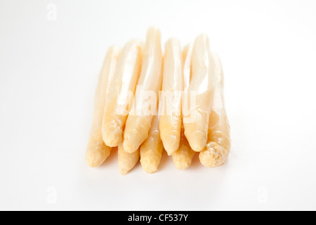 viele leckere weißer Spargel Stockfoto