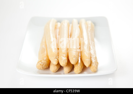 viele leckere weißer Spargel Stockfoto