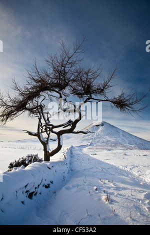 Schnee bedeckt, Nähe Topping, einem Hügel mit einer markanten kegelförmigen Spitze, die Form ist oft im Vergleich zu den Stockfoto