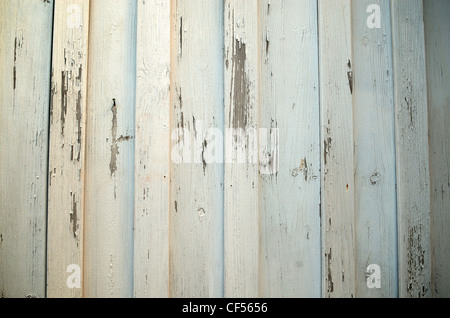 Weiß lackierter Holzplatte Wand mit chipping Farbe. Stockfoto