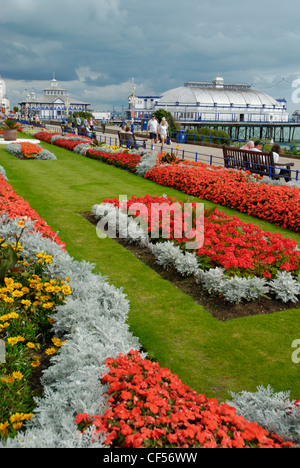 Blick über Carpet Gardens Eastbourne Strandpromenade und Pier entfernt. Stockfoto