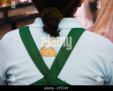 Thai-Frau trägt Hemd mit langen lebe der König Stickerei und Kaninchen für das Jahr 2011 ein Symbol des Friedens Thailand Bangkok Asien Stockfoto