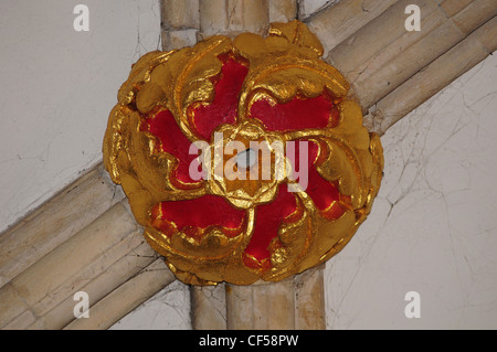 Rot und gold Chef auf dem Dach des südlichen Seitenschiff. Kathedrale der Heiligen Dreifaltigkeit, Chichester. Stockfoto