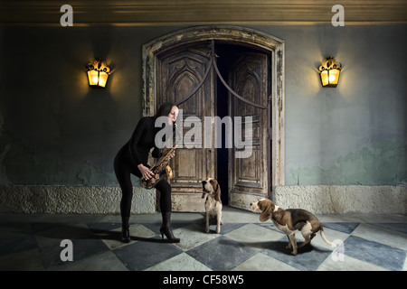 Der Doggy Blues. Gute Musik in einem schlechten Interieur. Stockfoto