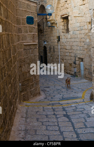 Eine schmale Straße im historischen Jaffa, Israel Stockfoto