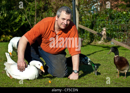 Landwirt/Kleinbauern-streicheln sein Haustier glücklich Freilandhaltung Vögel Geflügel Enten & Gänse auf ein Waliser Kleinbetrieb in der warmen Sonne Stockfoto