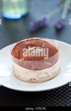 leckere hausgemachte Tiramisu-Torte Stockfoto