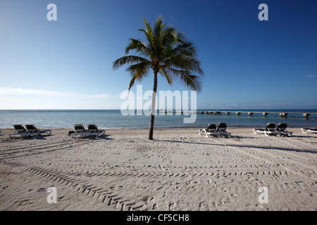 Higgs Strand, Key West, Florida Stockfoto