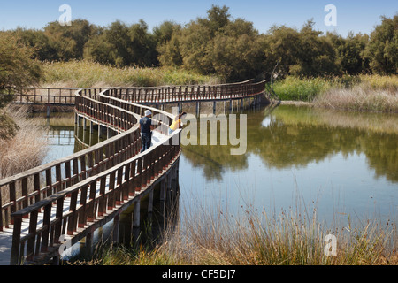 Holzstege durch den Parque Nacional Tablas de Daimiel. Tablas de Daimiel Nationalpark. Provinz Ciudad Real, Spanien. Stockfoto