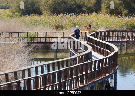 Holzstege durch den Parque Nacional Tablas de Daimiel. Tablas de Daimiel Nationalpark. Provinz Ciudad Real, Spanien. Stockfoto