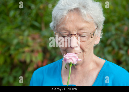 Deutschland, Bayern, Huglfing, Senior Frau duftende Rosen im Garten, Nahaufnahme Stockfoto