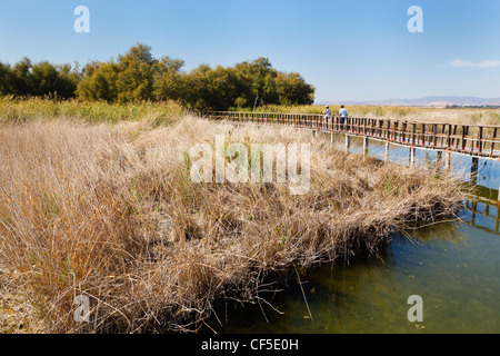 Holzstege durch den Parque Nacional Tablas de Daimiel. Tablas de Daimiel Nationalpark. Provinz Ciudad Real, Spanien. Stockfoto