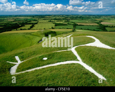 Kopf und Augen von Uffington White Horse und Drachen, ein Kreidefigur geschnitzt auf dem Hügel über dem abgeflachten Hügel wo St Geo Stockfoto