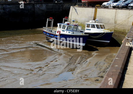 Ausflugsboote auf Unterseite der gemeinsame Harbour, Northumberland bei Ebbe Stockfoto