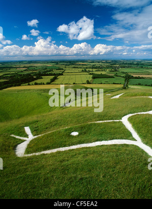 Kopf und Augen der Kreidefigur geschnitzt auf dem Hügel des White Horse Hill über die abgeflachten Hügel, wo St George gesagt wird Stockfoto