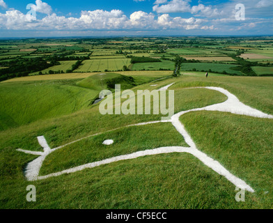 Kopf und Augen der Kreidefigur geschnitzt auf dem Hügel des White Horse Hill über die abgeflachten Hügel, wo St George gesagt wird Stockfoto