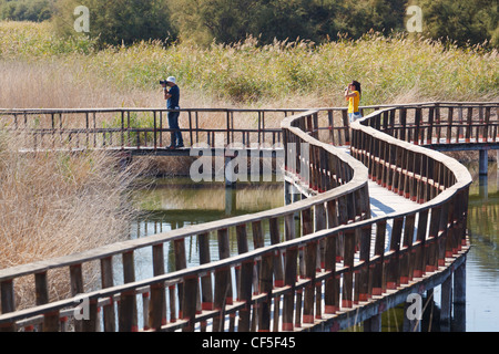 Holzstege durch den Parque Nacional Tablas de Daimiel. Tablas de Daimiel Nationalpark. Provinz Ciudad Real, Spanien. Stockfoto