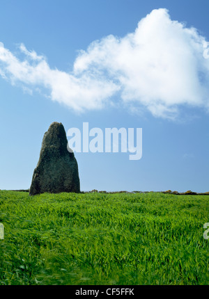 Nach der Überlieferung der blinden Fiddler Standing Stone ist prähistorischen Monolith in der Nähe von Trenuggo in West Penwith, ein Musiker Stockfoto