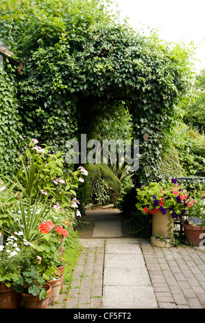 Naturlehrpfad John Vale und Barbara Gilbert Garten in Epping Weg mit ein Efeu bedeckt Bogen und eingetopften Pflanzen Stockfoto