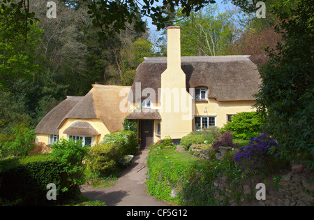 Reetdachhaus in der kleinen Ortschaft Selworthy im Exmoor National Park. Stockfoto