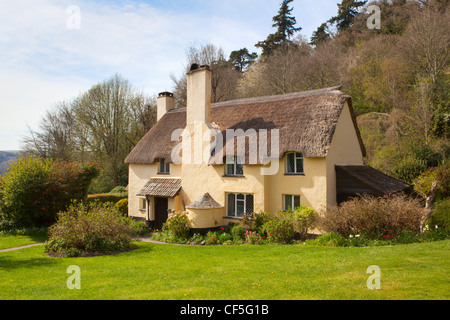 Reetdachhaus in der kleinen Ortschaft Selworthy im Exmoor National Park. Stockfoto