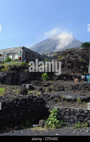 Vulkan Pico Insel Fogo, Kapverdische Inseln, Afrika Stockfoto